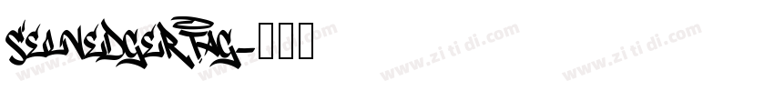Selvedger Tag字体转换